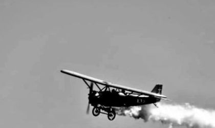 WhatsApp Image 2024-08-08 at 11.34.14.jpeg